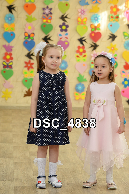DSC4838